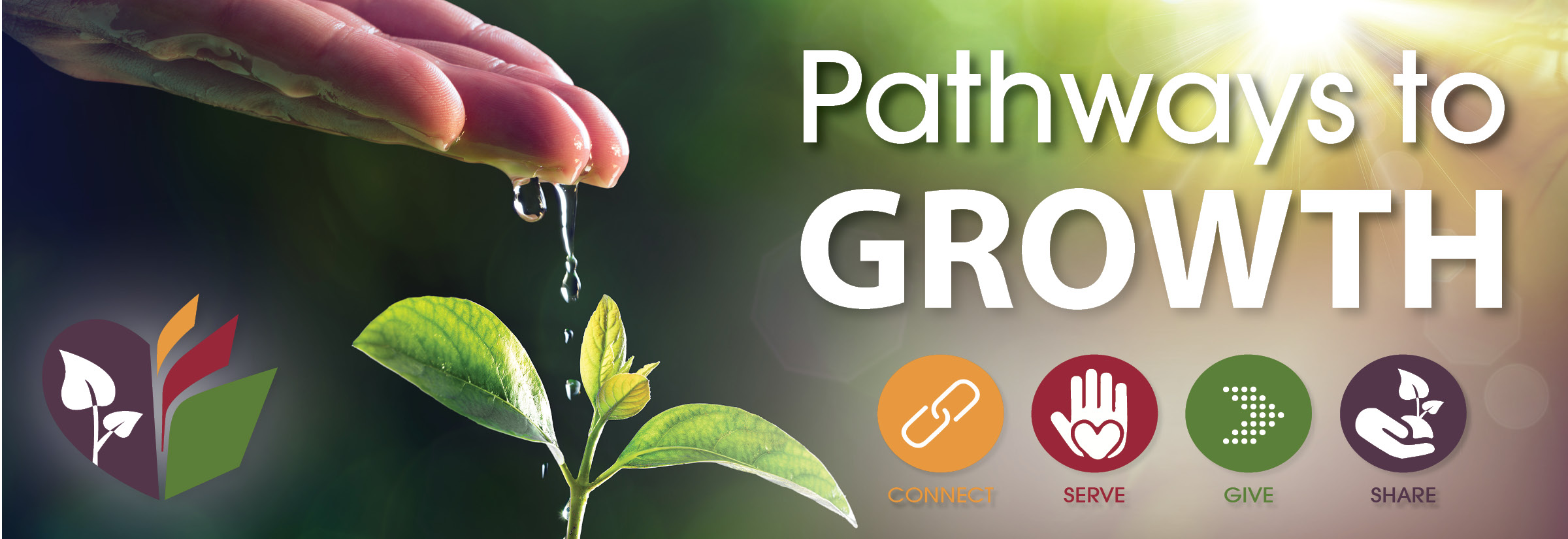 Pathways to growth