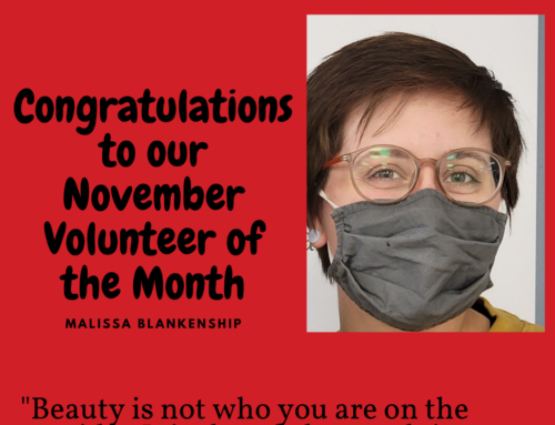 November Volunteer of the Month-Malissa Blankenship